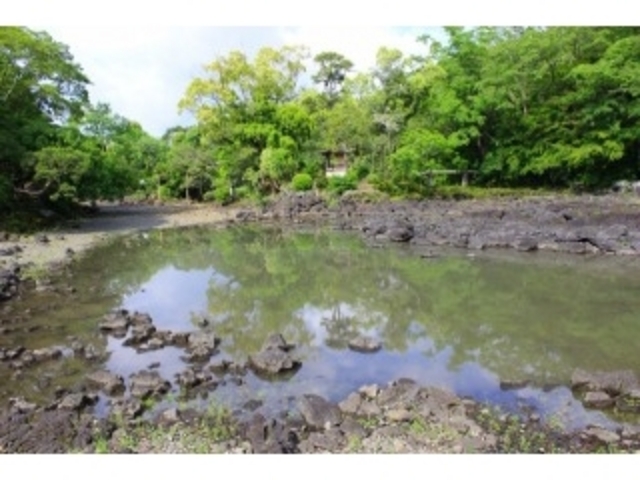 �΂��������ł��I_�O���s�������@�y����