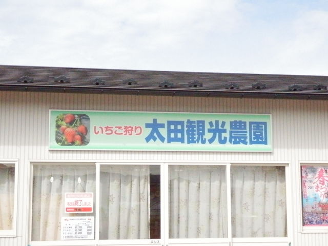 �O��_���c�ό��_��