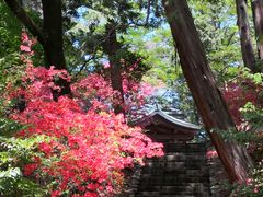 唐沢山城跡の口コミ一覧 じゃらんnet