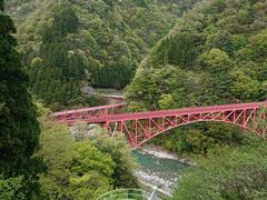 ���₿��񂳂�̍������J�S���ւ̓��e�ʐ^1