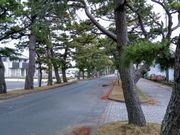 ق̋C؁iÉlsj̓eʐ^1