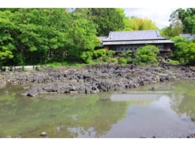 ������܂����I_�O���s�������@�y����