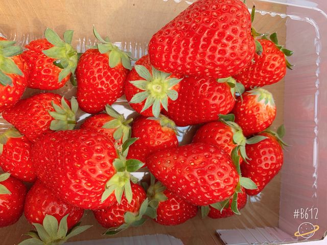 ��������H�ׂꂽ��Ɏ����A��p���������񎝂��ċA��邭�炢�����ł����B_�r��������