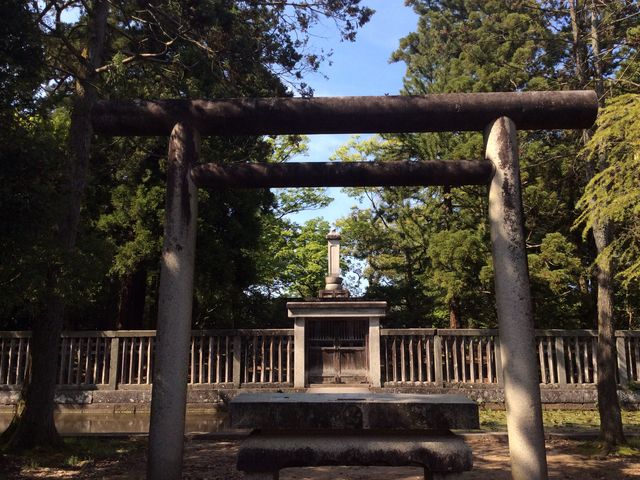 �揊��_�O�c�����揊