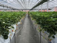 ݂񂳂joumonfarmi傤ӂ[ށjւ̓eʐ^1