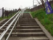 �J������̑P�����̓��e�ʐ^1