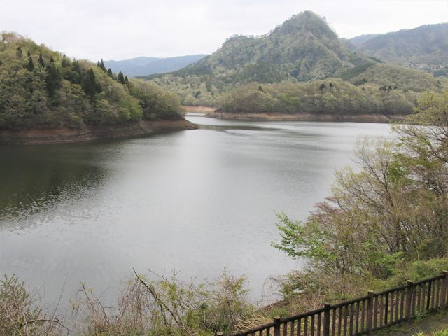 �͂�܌�_�^��_���i�͂�܌΁j