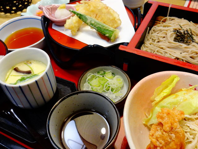 ǁ[̃TK~xm`@X̓eʐ^1