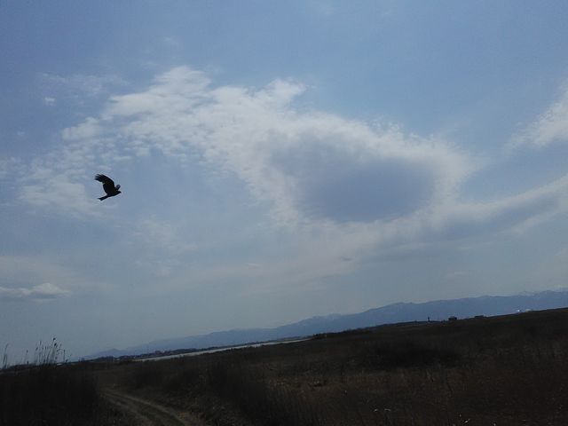 �����𕑂����B_�͂܂Ȃ��̋u����