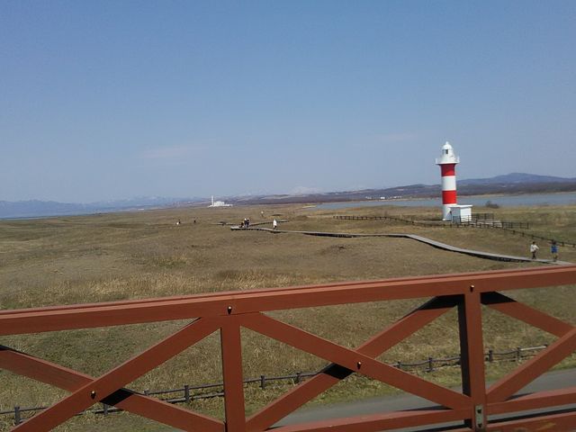 ���B�W�^�[�Z���^�[�Q�K���猩������S�i�B_�͂܂Ȃ��̋u����