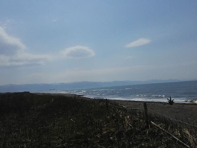 ����������]�ޓ��{�C�B_�͂܂Ȃ��̋u����