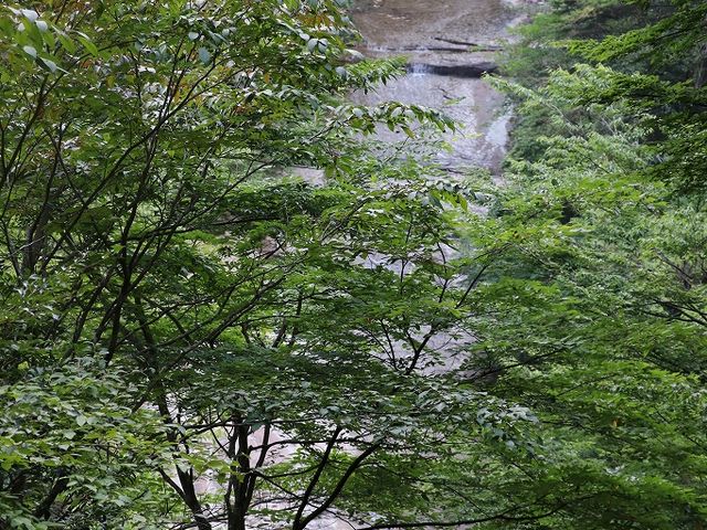 Yanwenli̐ւ̑W]̓eʐ^2