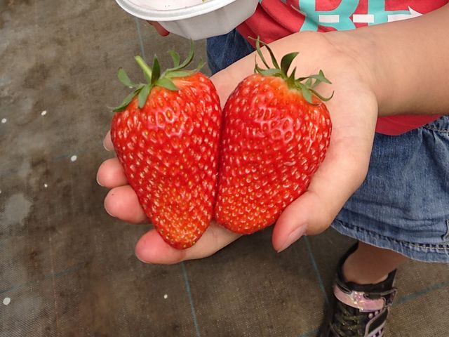 ƂĂ傫C`S܂_咆_C`S