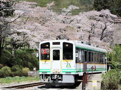 Ƃ񂳂̓㉷wւ̓eʐ^1