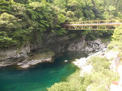 mimysA̒Am쒬AzmAAmsj̎ʐ^1