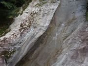 Yanwenli̐ւ̑̓eʐ^1