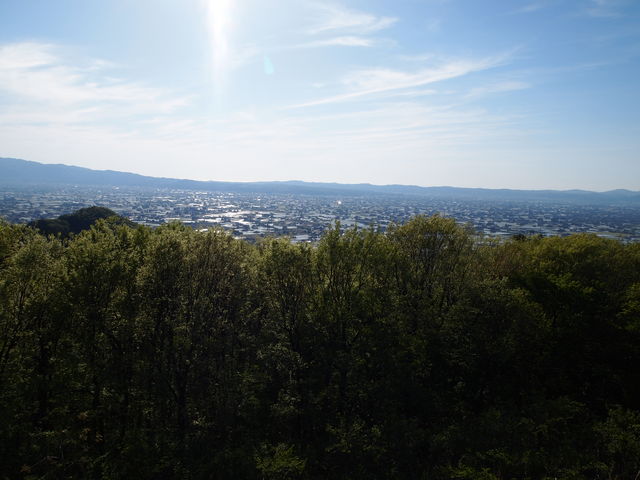 ˂񂳂̊Տ掛̓eʐ^1