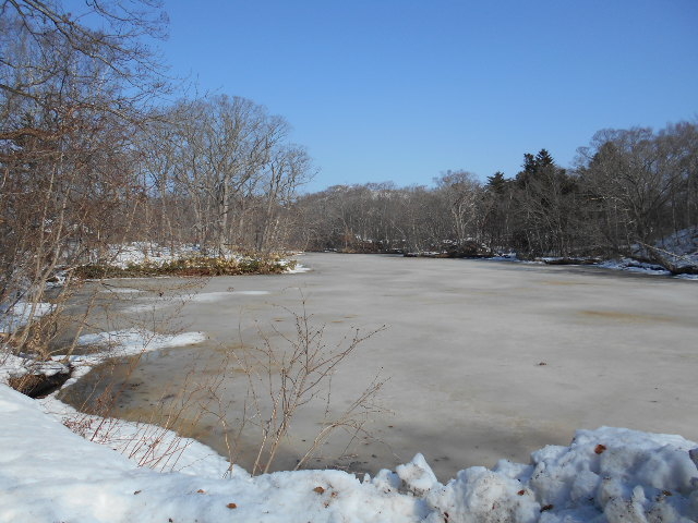 ������_������