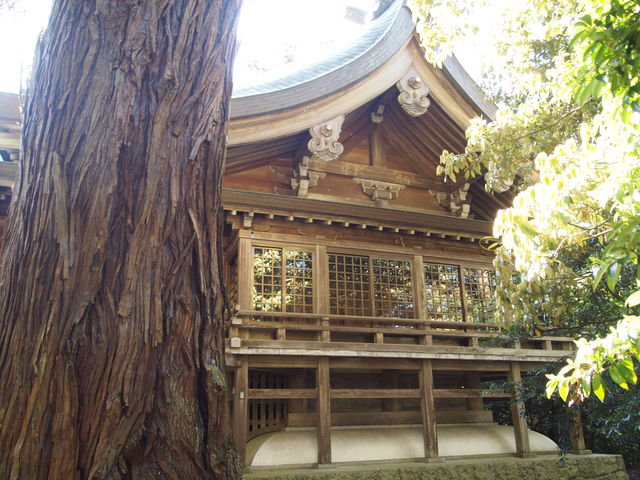 �吙�Ɩ{�a_�z����{�@�����_��