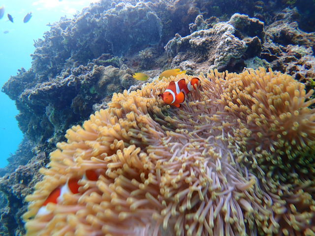 �B���Ē����A�]�����Ă�������ʐ^�ł��B
�{���ɋL�O�ɂȂ�܂����B
1_�Ί_���}�����X�e�[�W �N���C��