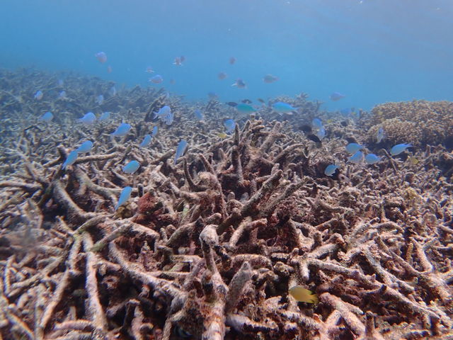 3_�Ί_���}�����X�e�[�W �N���C��