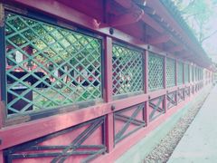 ���肳��̍��Ð_�Ђւ̓��e�ʐ^1