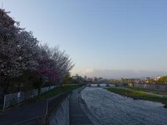 �g�����\����̊���ւ̓��e�ʐ^1