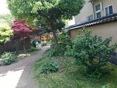 �������Ɖ��~�ՊE�G�̎ʐ^1