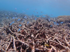 ӂ݂̐Ί_}Xe[W NCւ̓eʐ^3