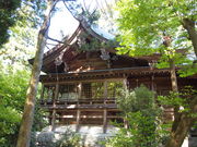 ˂񂳂̉z{@_Ђ̓eʐ^5