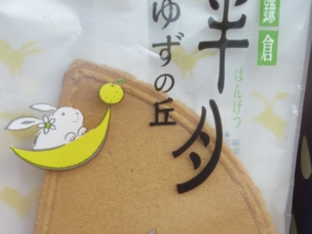 Ⴝ낤̊qܘY{X qʂ{X̓eʐ^1