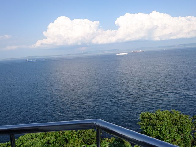 ω蓔䂩猩iFACꂢłB_ω铔