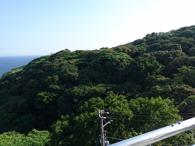 ω蓔䂩猩iFA΂ꂢłB_ω铔