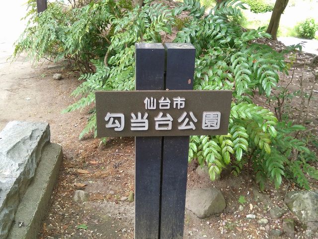 �����̊Ŕ�_���������