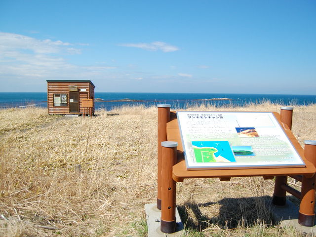 �����l���g_�����l���g�`���V��