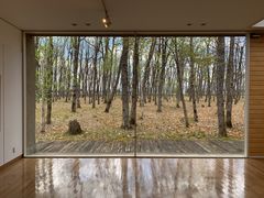 tara̘ZԒA[gBbWDpւ̓eʐ^1