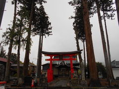 トシローさんの青根諏訪神社の大スギの投稿写真1