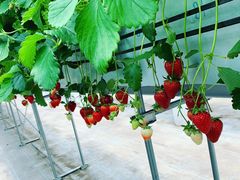 kimĩgK@XvOt@[@ւ̓eʐ^1