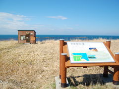 Lic����̃����l���g�`���V�Ղւ̓��e�ʐ^1