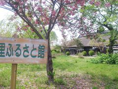 amucha̒߂̗ӂ邳Ɗقւ̓eʐ^1