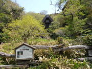 gV[̑㍇薯|ق̓eʐ^1