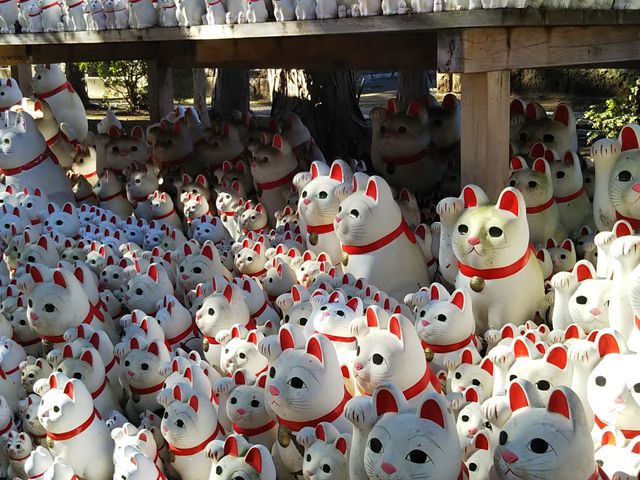 �����L_������