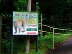 ANZ[JC̖쉎ւ̓eʐ^1