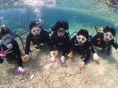 qTf̃V}n@}T[rXւ̓eʐ^1