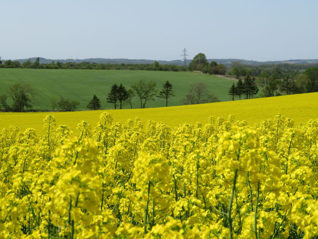 安平町 勇払郡 の自然景観 絶景ランキングtop1 じゃらんnet