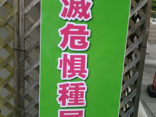 姫路市立手柄山温室植物園
