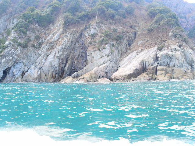 �V���D����_�h����߂���V���D