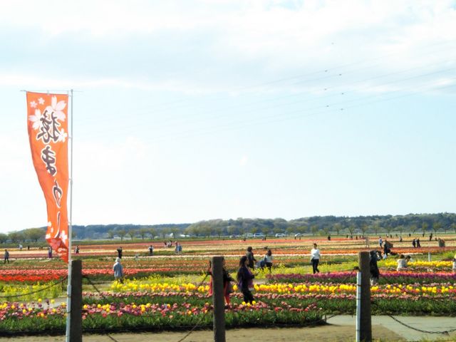 �I�����_���ԃ��[�t�f_�I�����_���ԃ��[�t�f