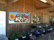 akane����́i���j�L�h�킭�킭�L�� �����X�̓��e�ʐ^1