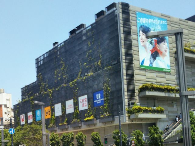 usa100bbDXJCc[^EE\}`X̓eʐ^1